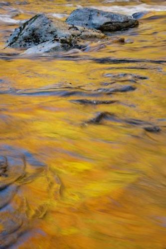 Rivulet;Cascading;Gray;Textures;Tennessee;Patterns;Riverbed;Streaming;Stones;waterway;Brook;Blue;Stone;Mirror;Abstracts;Great Smoky Mountains National Park;Rock Formations;Gold;Yellow;Boulder;Rapids;Stream;Rock;Geological;Pouring;river;River;Rivers;Creek;Rocks;pond;Abstraction;Striation;reflection;River Bed;Geology;Streamlet;Orange;Water;water;Abstract;reflections